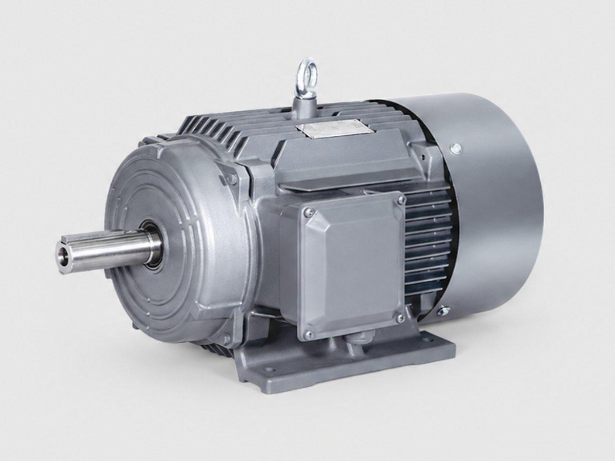 Asynchronous electric motor 22 kW